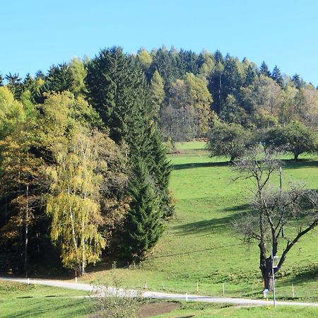 Ferienwohnungen Bauernhof Schilcher Sankt Stefan im Lavanttal Exterior photo