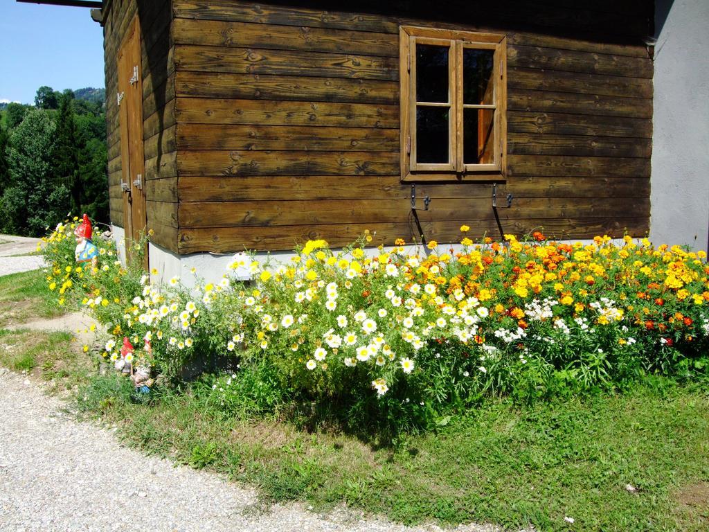 Ferienwohnungen Bauernhof Schilcher Sankt Stefan im Lavanttal Exterior photo